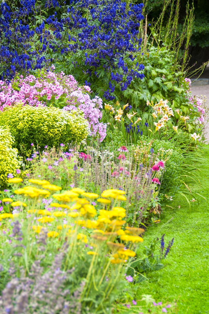 Rośliny wielosezonowe w ogrodzie